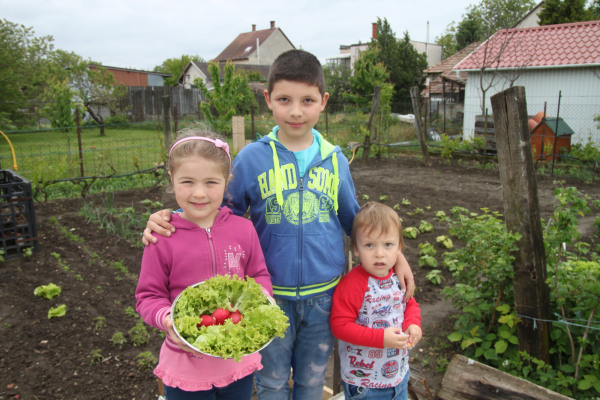 Vesd bele magad!