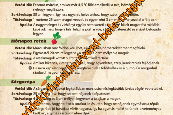 Vesd bele magad! AGRYA